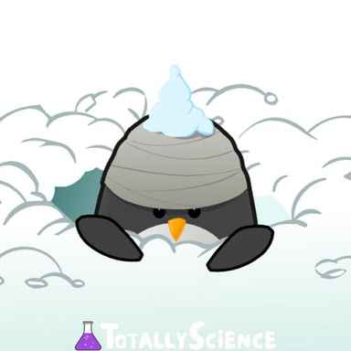 FreezeNova Learn to Fly 2 FreezeNova Learn to Fly 2