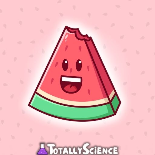 Watermelon Game Play Unblocked